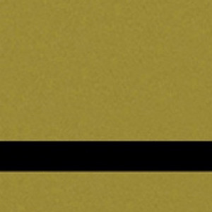 LG#SCX-LE001-Gold_black_30*60