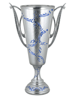 SO#CY212-Silver/Blue